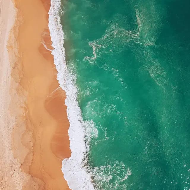 Les Meilleures Activités à Explorer Pour vos Vacances en France