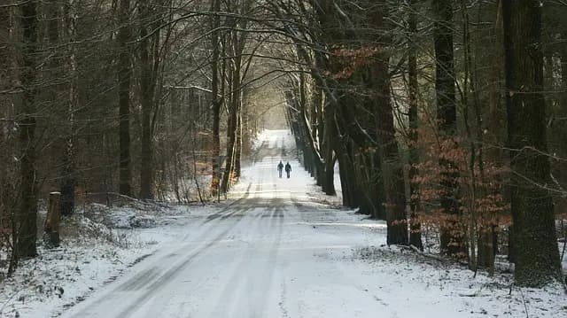 Les Meilleures Activités de Randonnée à Explorer en France