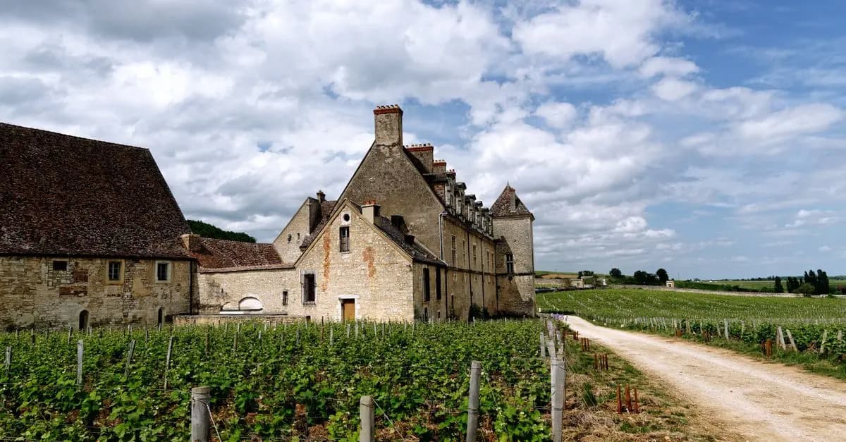 Les Meilleures Activités à Explorer en France pour Vos Vacances