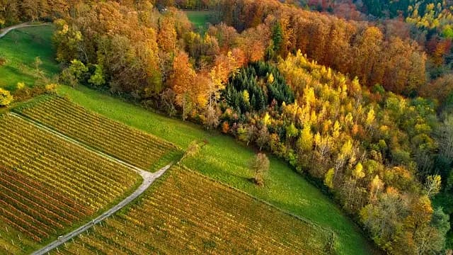 Top 10 des Meilleures Activités à Explorer lors de Vos Vacances