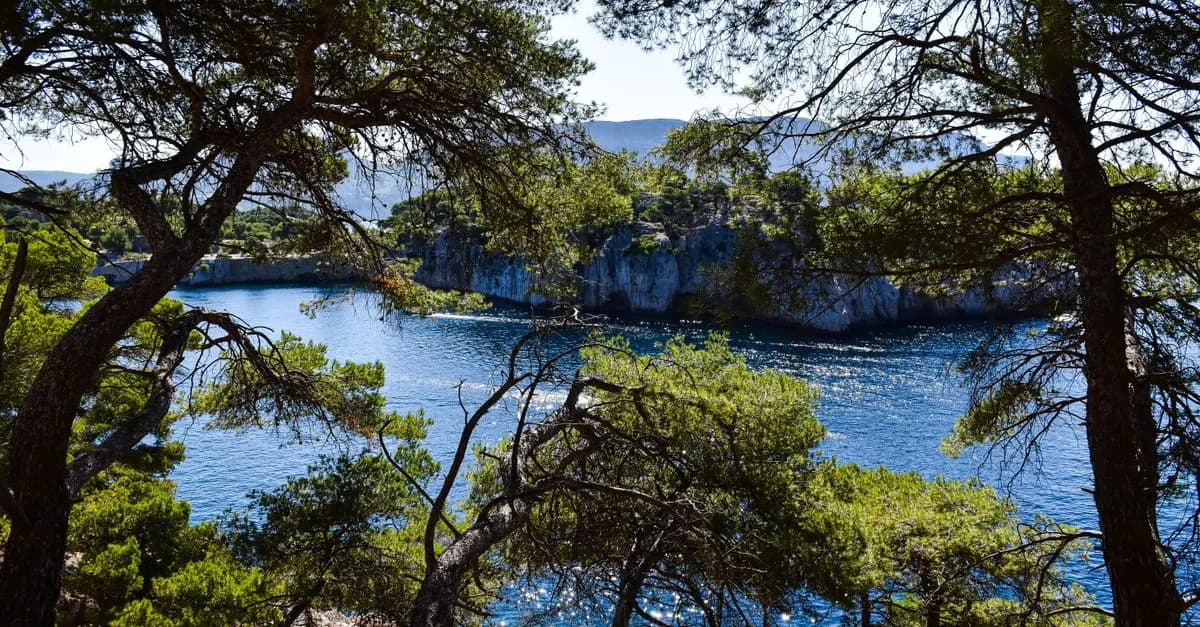 Explorer les Meilleures Activités Nautiques en France