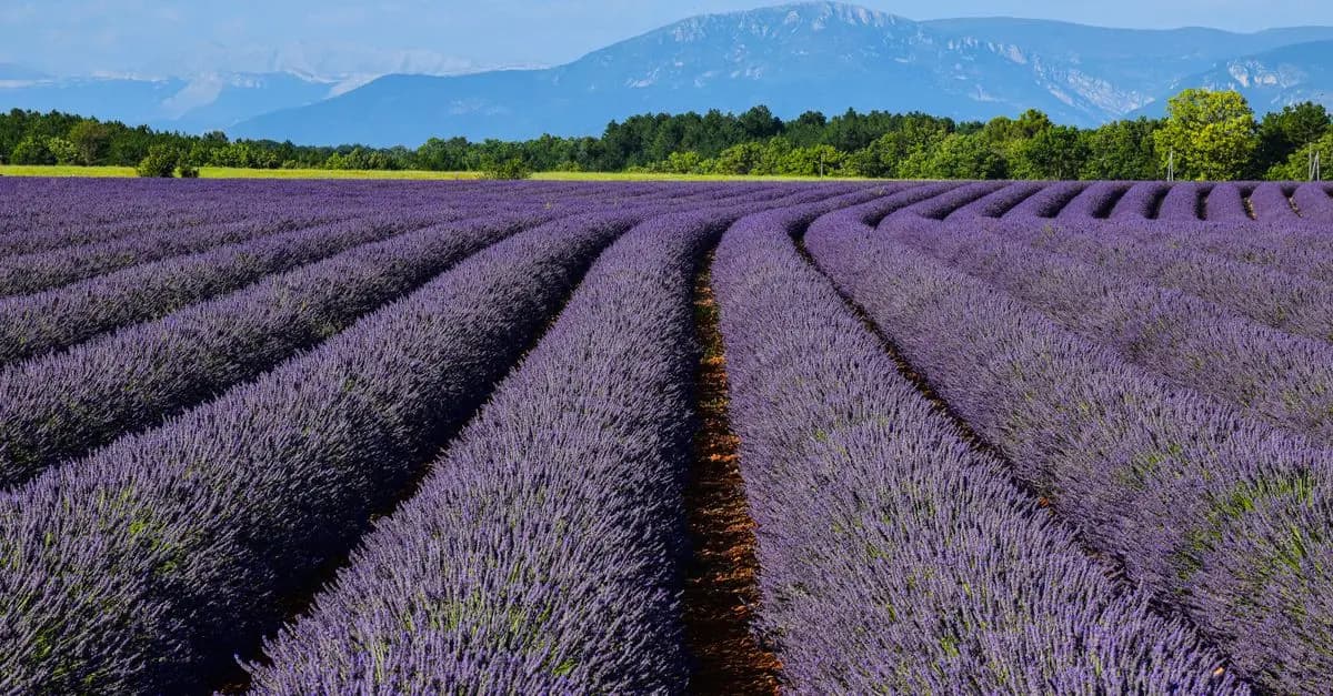Les Meilleurs Endroits pour Explorer la France en Été