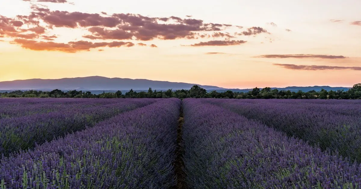 Comment Choisir la Meilleure Destination de Vacances en France