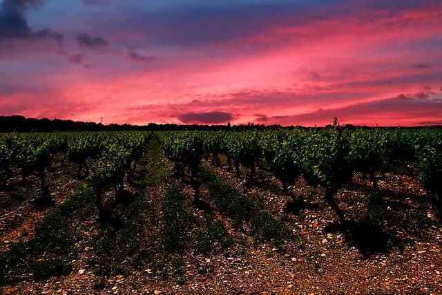 Explorer les Charmantes Routes Gastronomiques de France