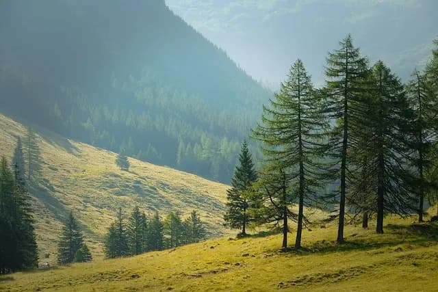 Top 10 des Activités à Faire pour Profiter de Vos Vacances en France