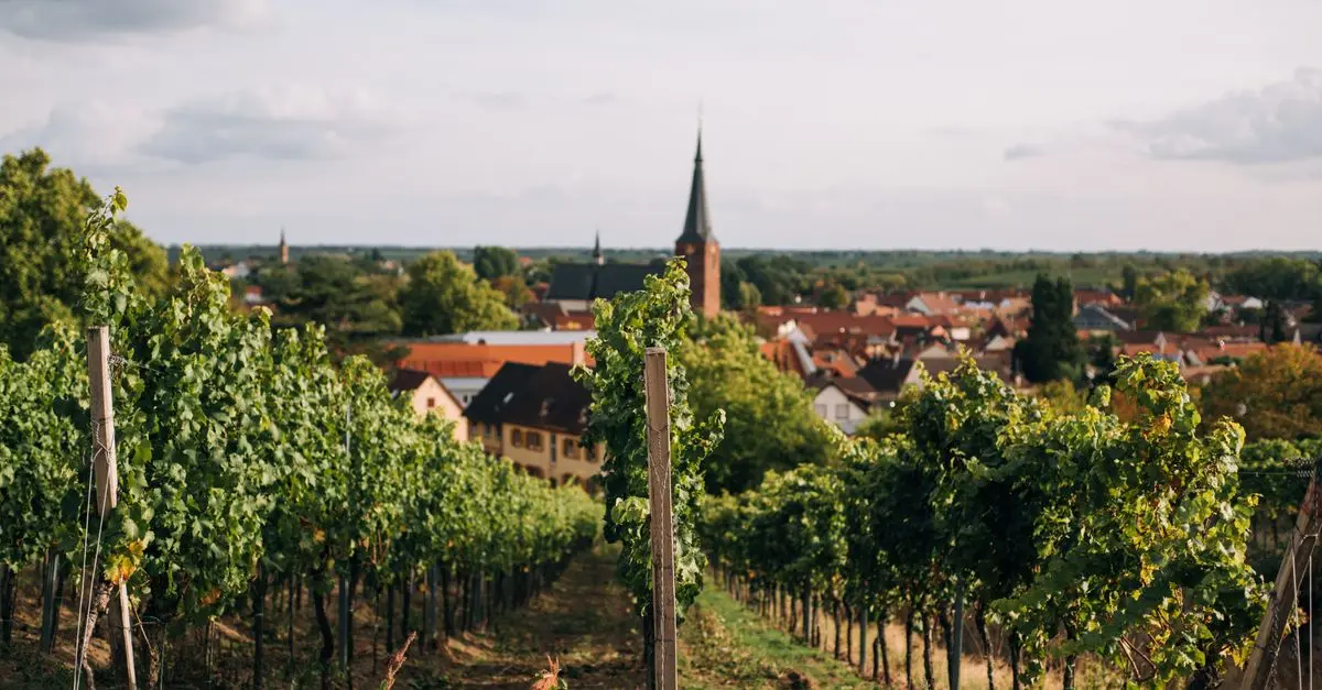 Quelle Saison pour Visiter la Bourgogne ?