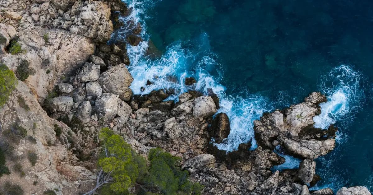 Les Activités Immanquables pour des Vacances dans le Sud de la France