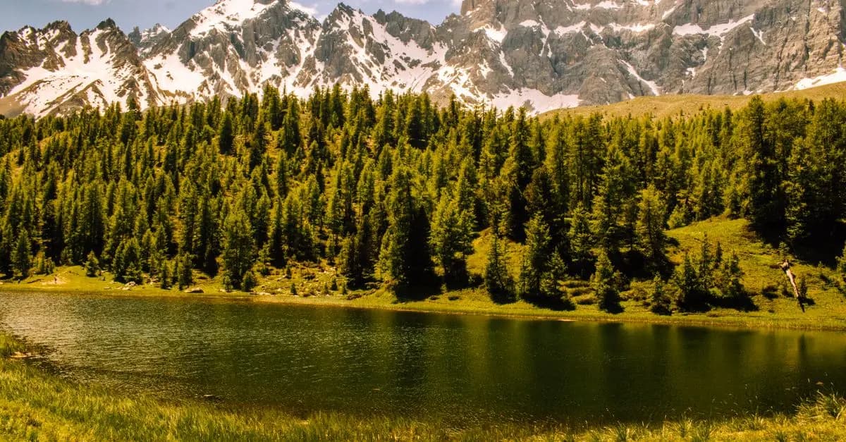 Explorer les Plus Beaux Parcs Naturels en France
