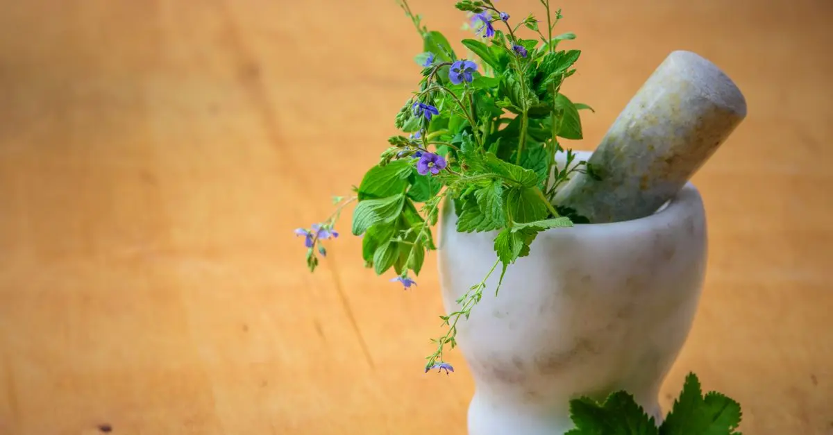 Les Secrets de la Cuisine Provençale