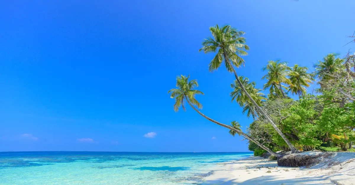 Les Activités Immanquables pour des Vacances en France