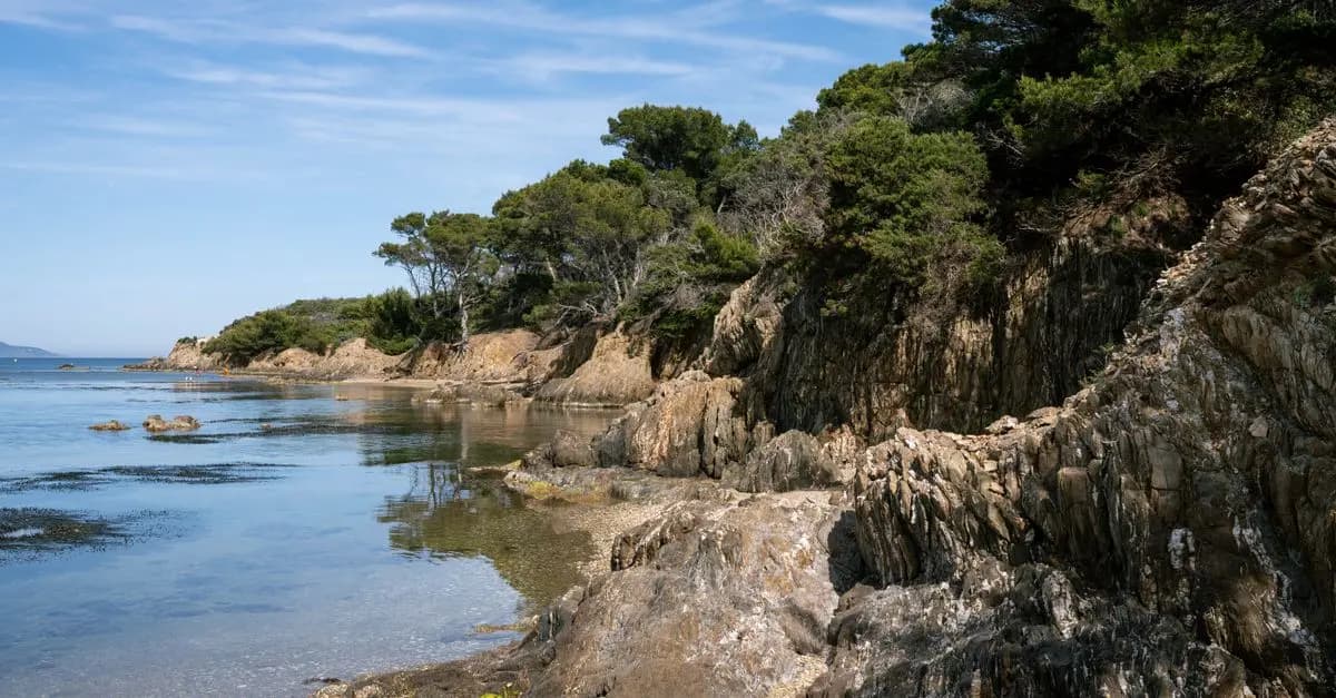 Guide Pratique pour Explorer les Meilleurs Parcs Naturels en France