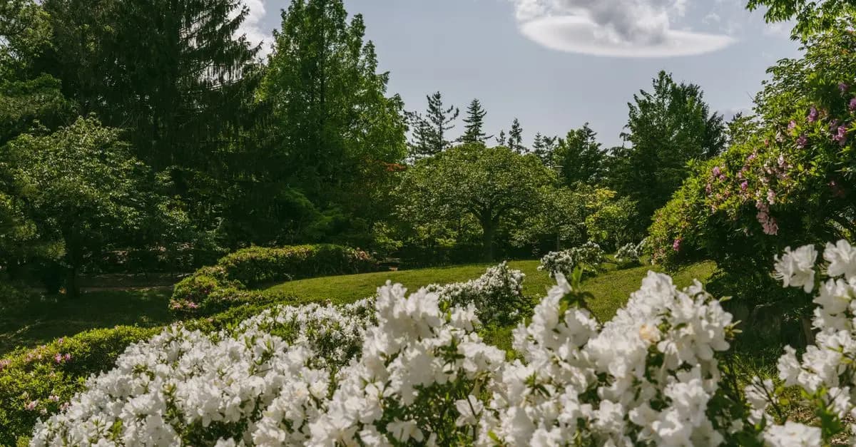 Guide pratique pour explorer les plus beaux parcs naturels en France
