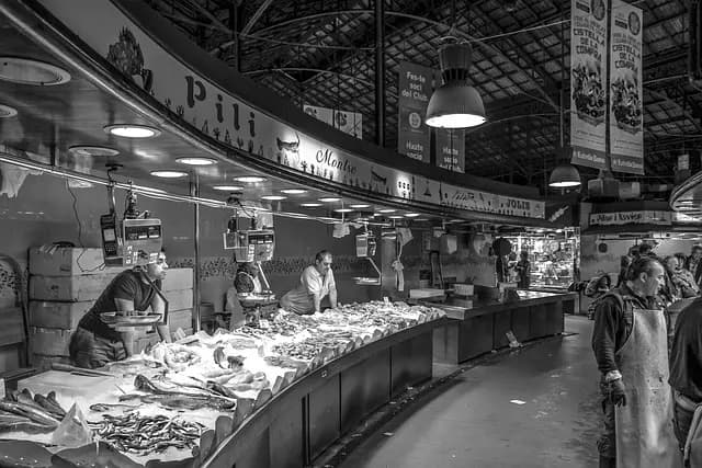 10 Conseils Pratiques pour Explorer la France Comme un Local