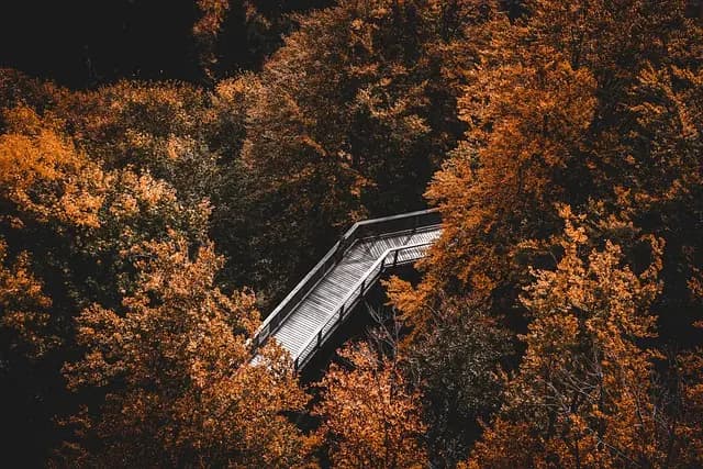 Top 10 des Activités Insolites à Explorer en France