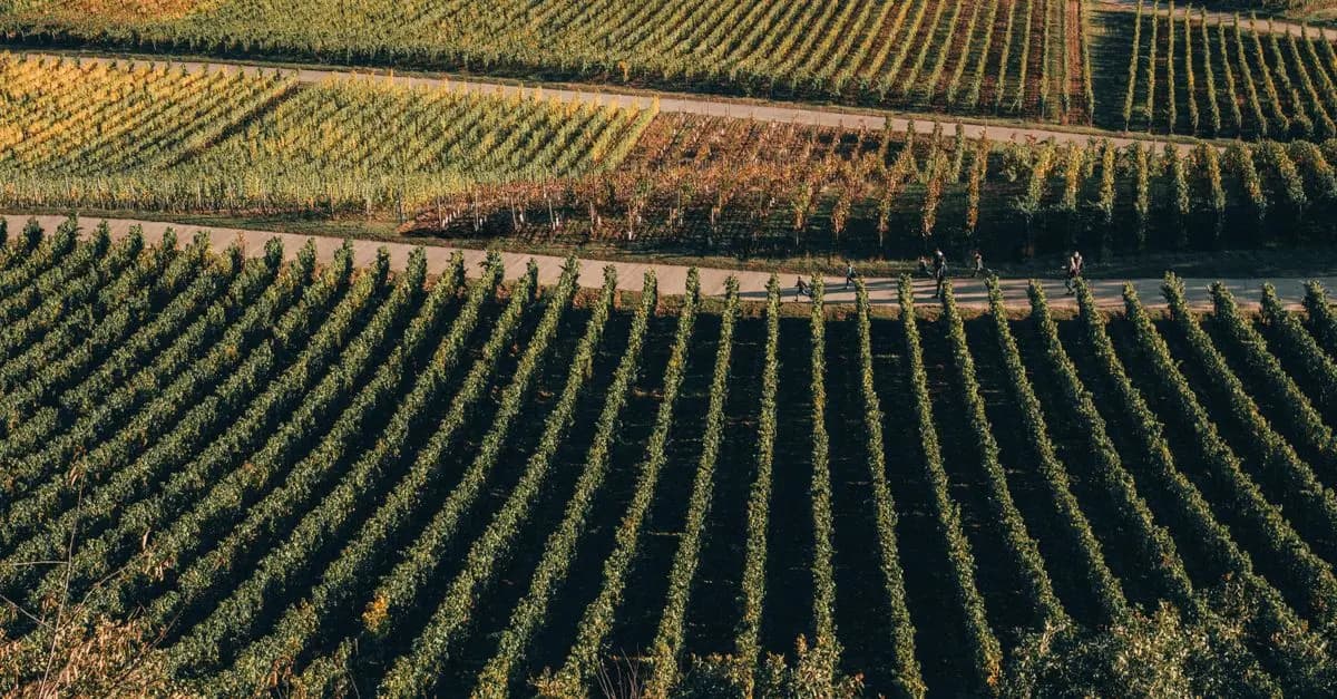 Les Véloroutes de France: Itinéraires à Tester