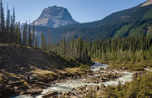 Guide Pratique pour Explorer les Plus Beaux Parcs Naturels