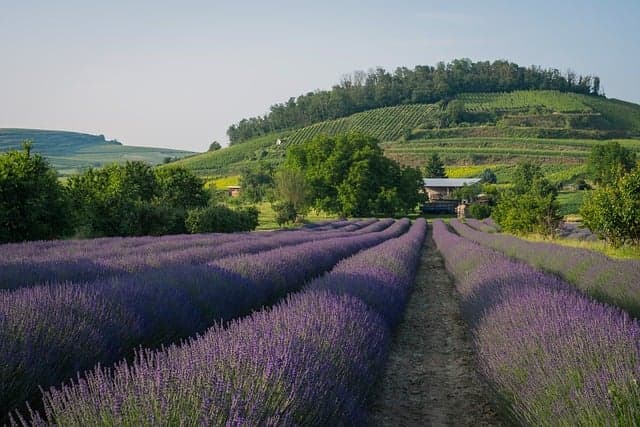 Guide Complet pour Explorer les Régions de France