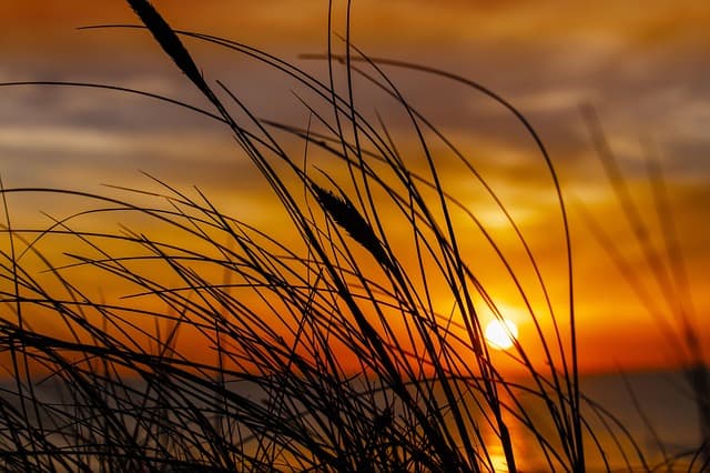 Comment Profiter des Plages Françaises: Guide Complet