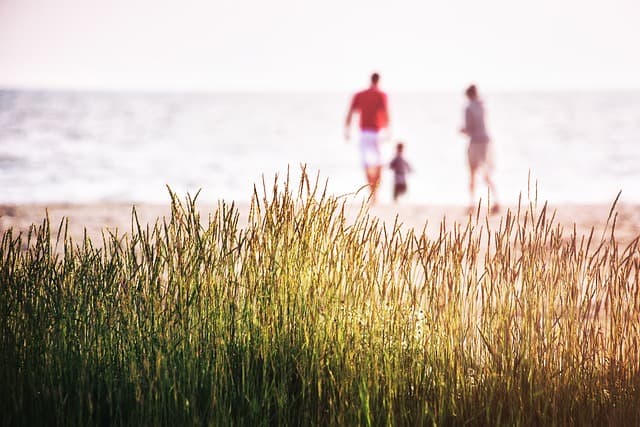 Les Meilleures Astuces pour Explorer la France en Famille