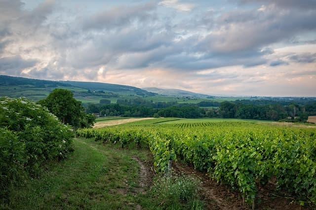 Les Meilleurs Lieux à Explorer pour des Vacances en France