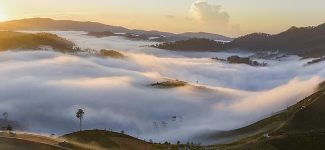 Les 10 Meilleures Activités à Explorer pour des Vacances en France