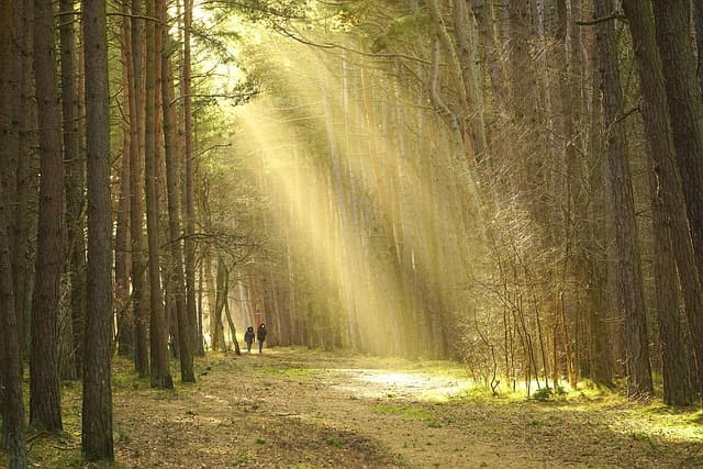 Les Meilleures Activités Insolites à Explorer en France
